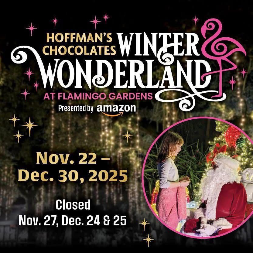 Hoffman's Chocolates Winter Wonderland