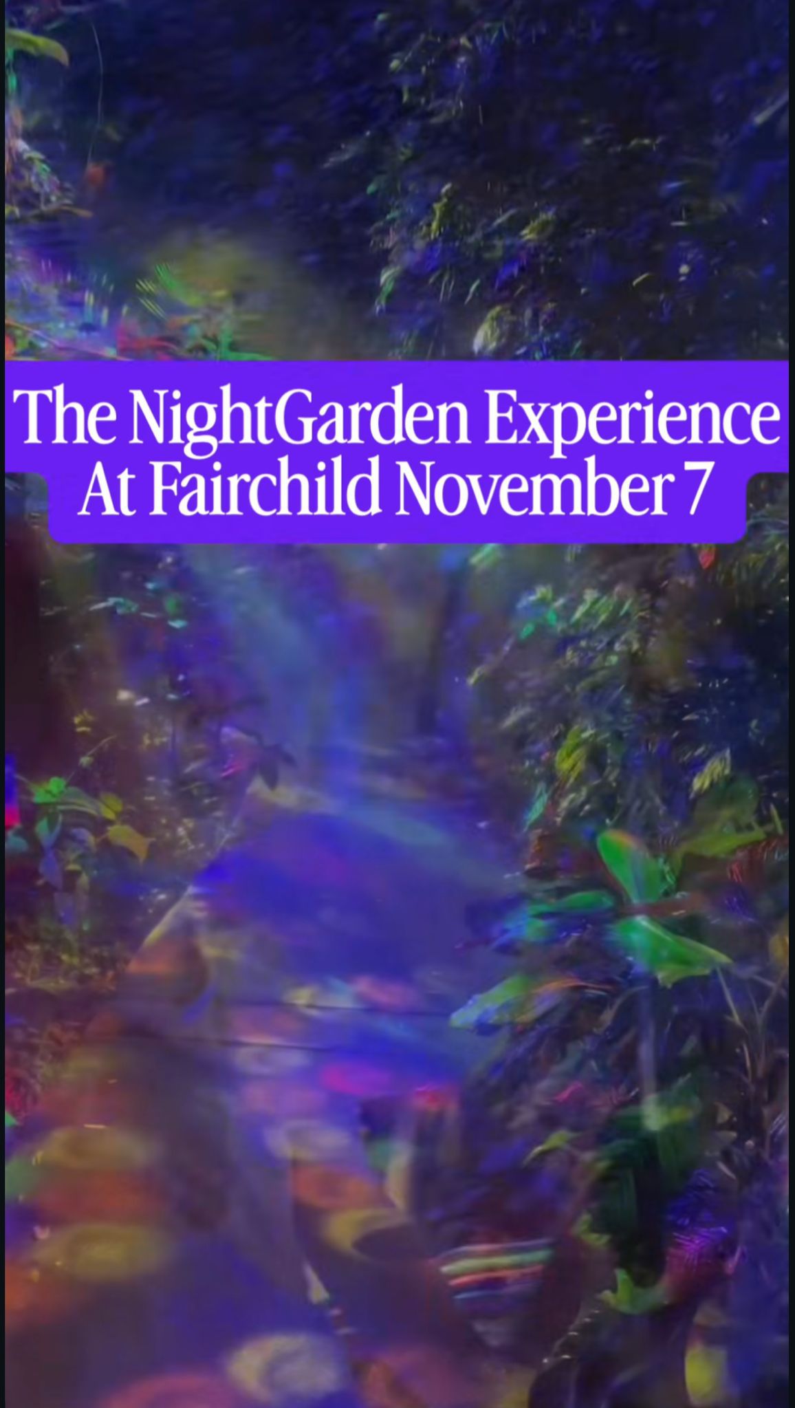 NightGarden Experience