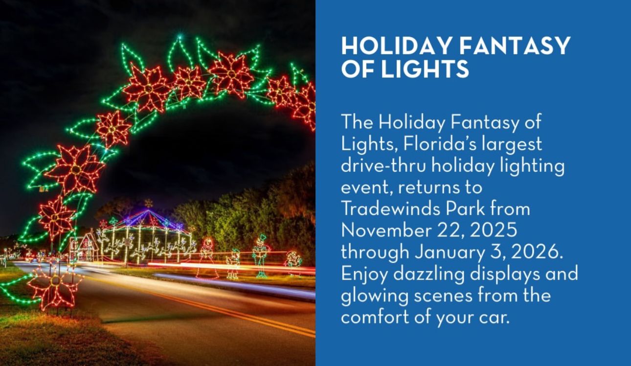 Holiday Fantasy of Lights