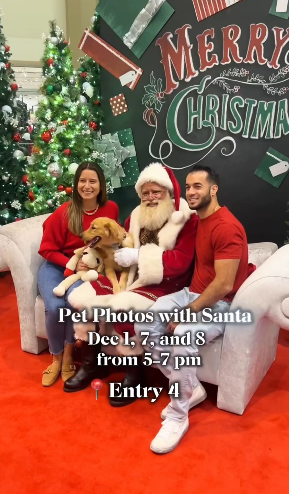 Pet Photos with Santa