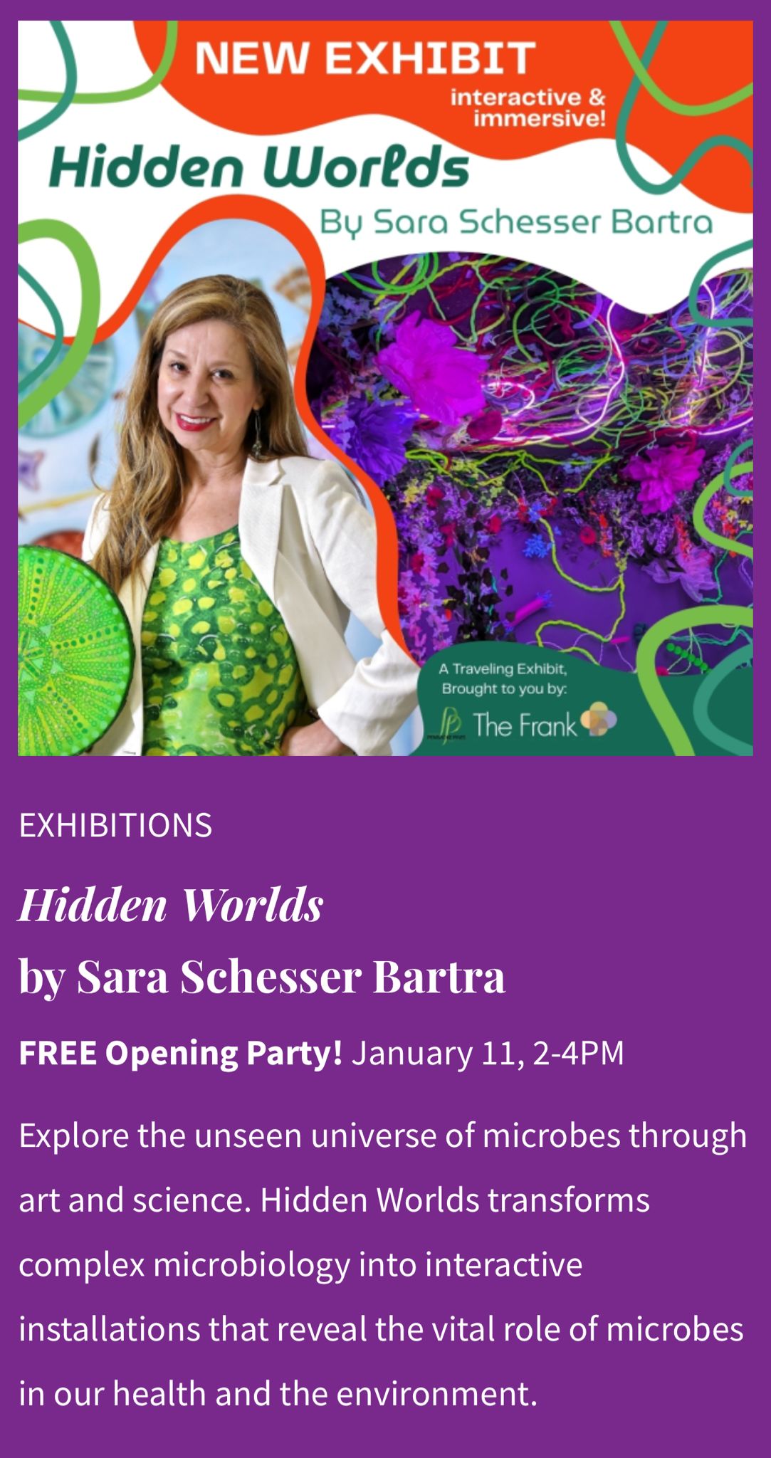 Hidden Worlds by Sara Schesser Bartra